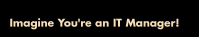 Imagine You're an IT Manager!